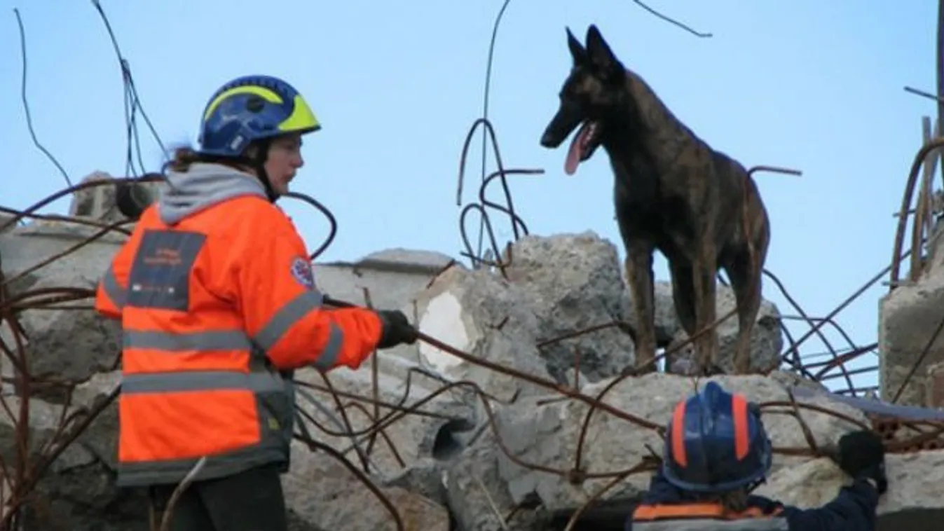 Bárkit megtalál 30 perc alatt a magyar mentőkutya
