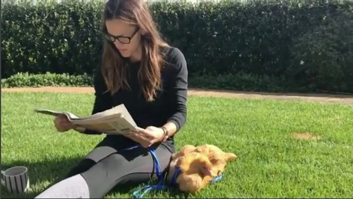 Teljesen megőrült Jennifer Garner? – videó