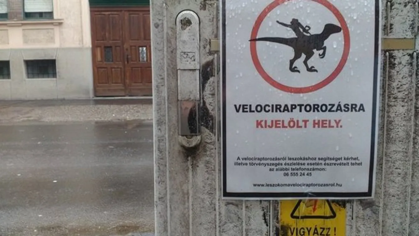 Dínólovaglásra jelöltek ki helyet Szegeden