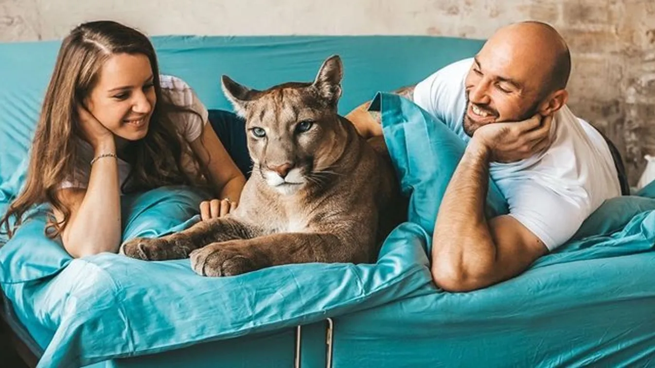 Házimacskaként él Messi, a puma