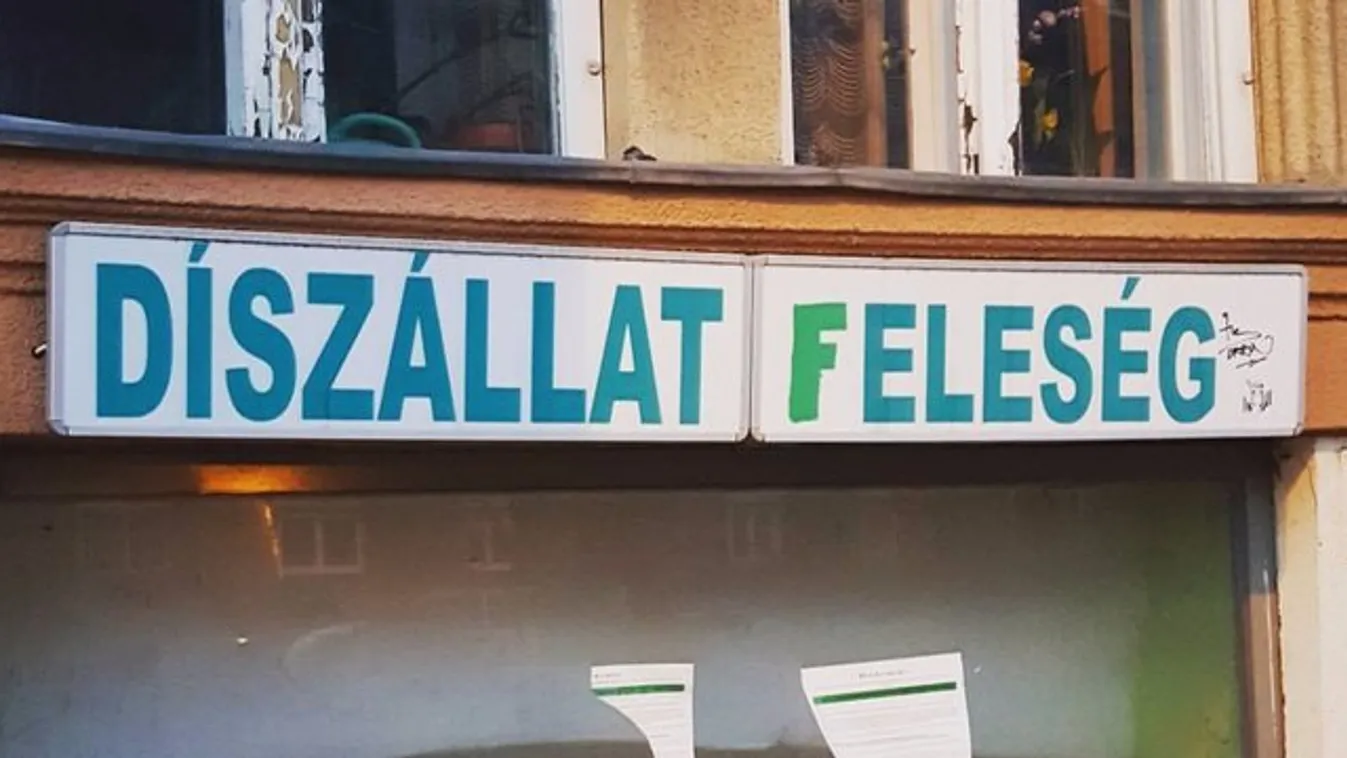 Budapest, Budapest, te csodás! – fotók