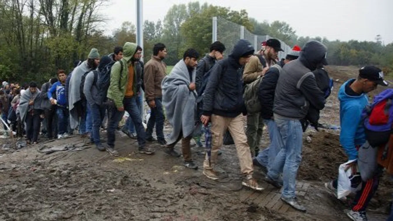 Fidesz: Brüsszel újabb elképesztő "terméke" a migránsvízum és migránskártya