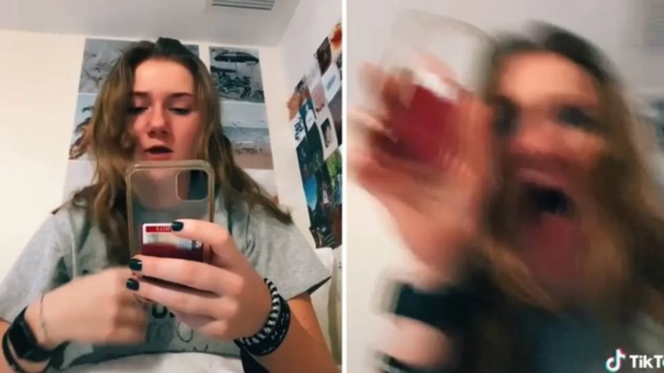 Ledöbbent, amikor megnézte a vakációk készült fotókat – észre sem vette, kit kapott lencsevégre – videó