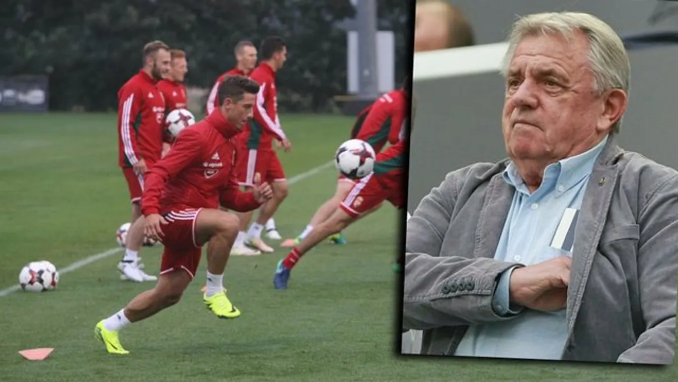 Mészöly Kálmán: Nem kell betojni!