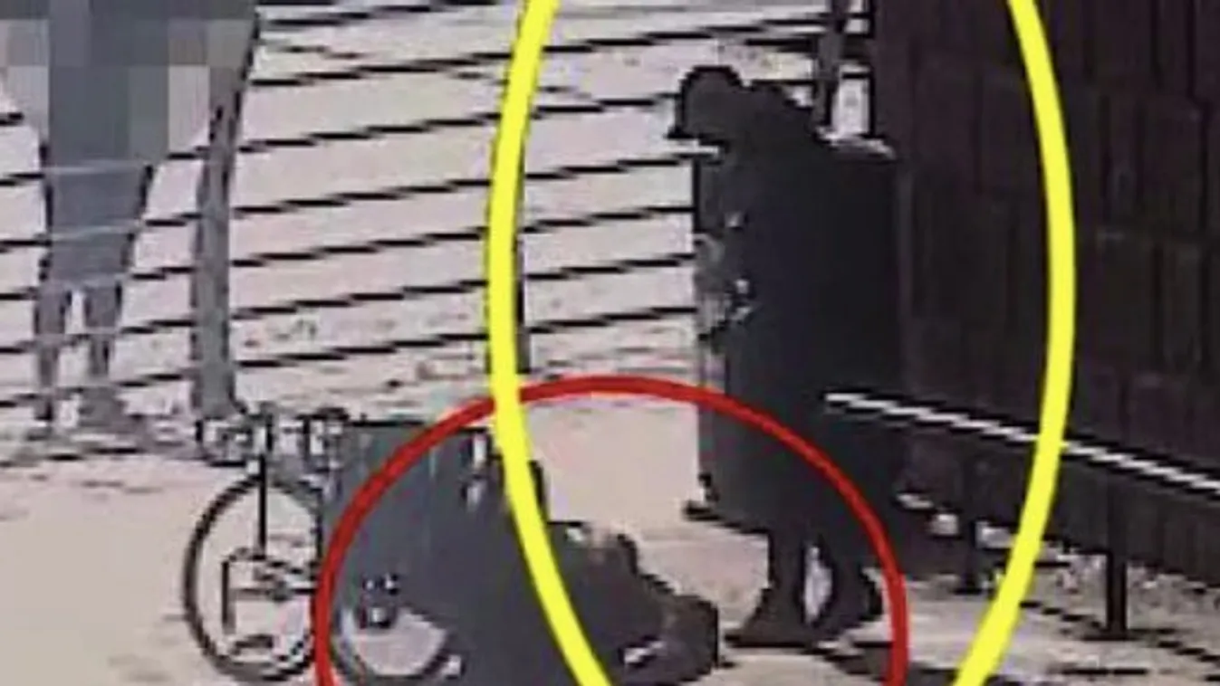„Újra megtenném” – mondja a gyilkos harcművész, aki kilökte az amputált lábú férfit a tolókocsiból, majd halálra rugdosta – 18+ Videó