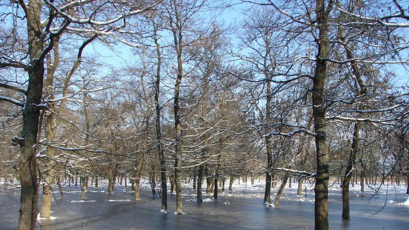 Határozatlan ideig nem fogad vendégeket a Hortobágyi Vadaspark