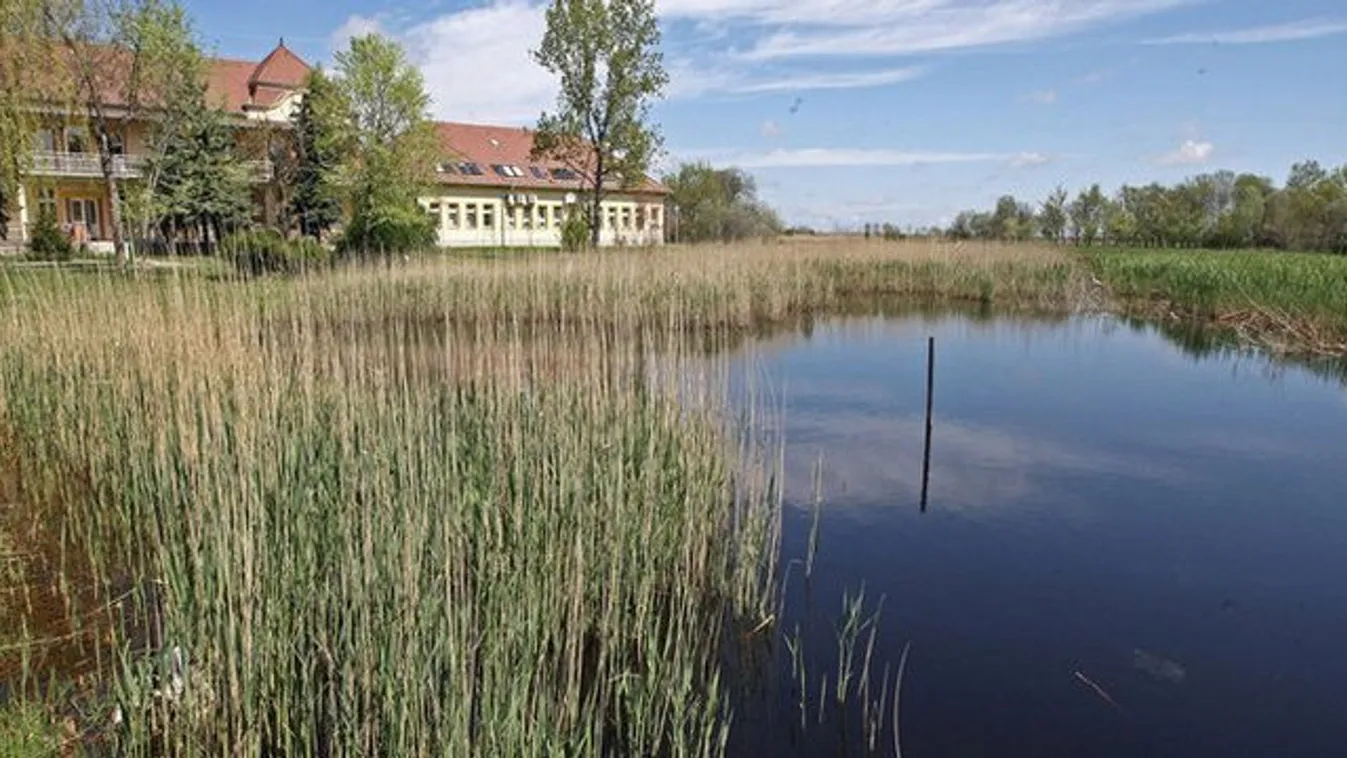 Eltűnt férfit kerestek, borzasztó mit találtak helyette