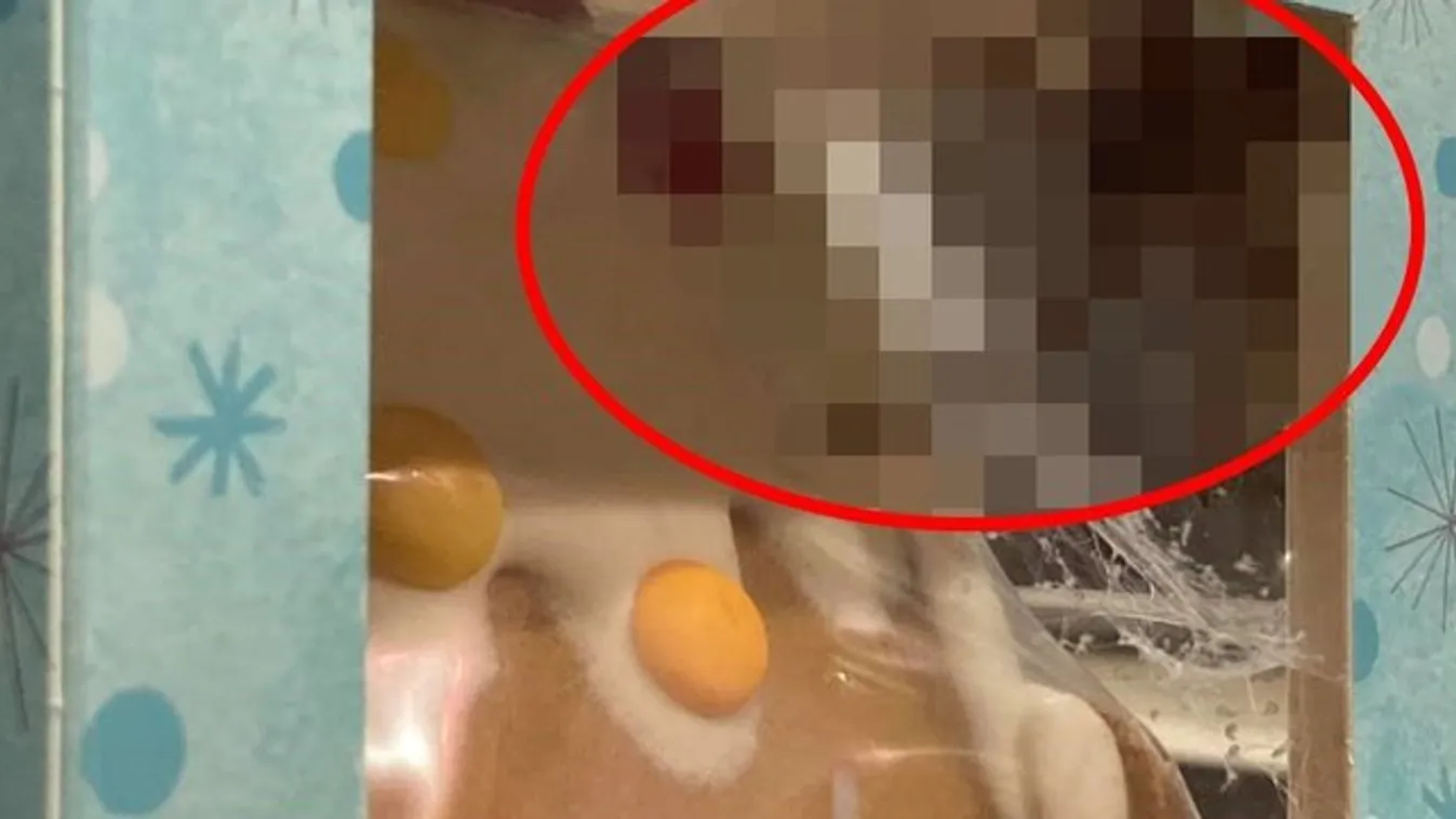 Sokkot kapott a családanya, amikor meglátta, mi lakik a mézeskalács házikójában – fotó