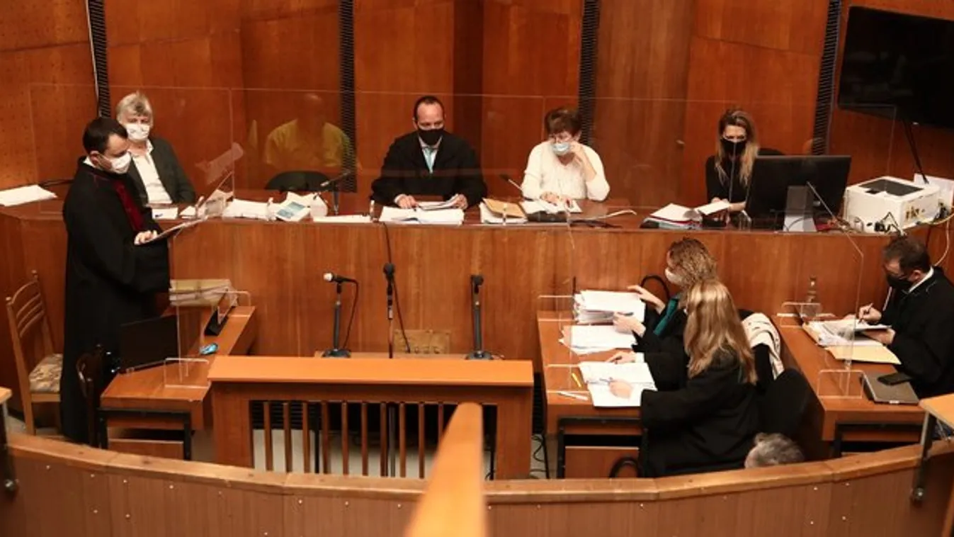 Én csak védekeztem - mondta a bíróságon Zoltán, aki vasvillával szúrta fejbe a rivális család egyik tagját – videó