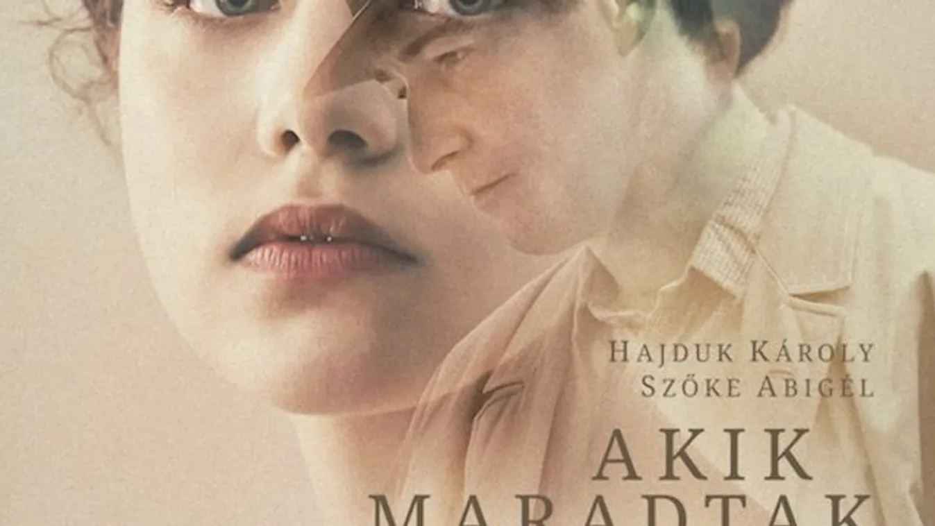 Karnyújtásnyira van az újabb magyar Oscar-díj