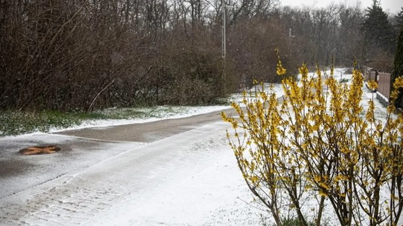 Mindenkit megzavart az áprilisi hó – Nyári Dia kisfia azt hitte, ismét jön a Mikulás