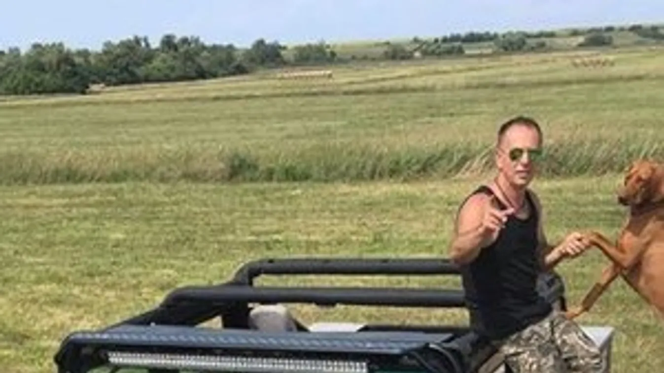 Rejtélyes eltűnés Maglódon: Nyomasztó feszültség kísérte az utolsó napokban Gyulát