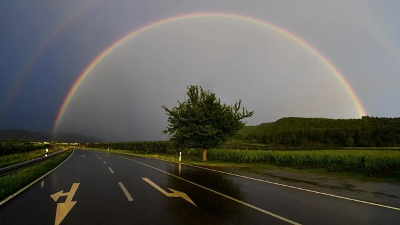 Jaj, de szép ez az ugorgyán! De mi is az?