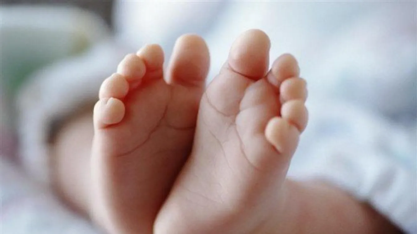 Paplanba tekerte és kidobta csecsemőjét egy Pest megyei apa: a szeméttelepen találták meg a holttestet - 18+