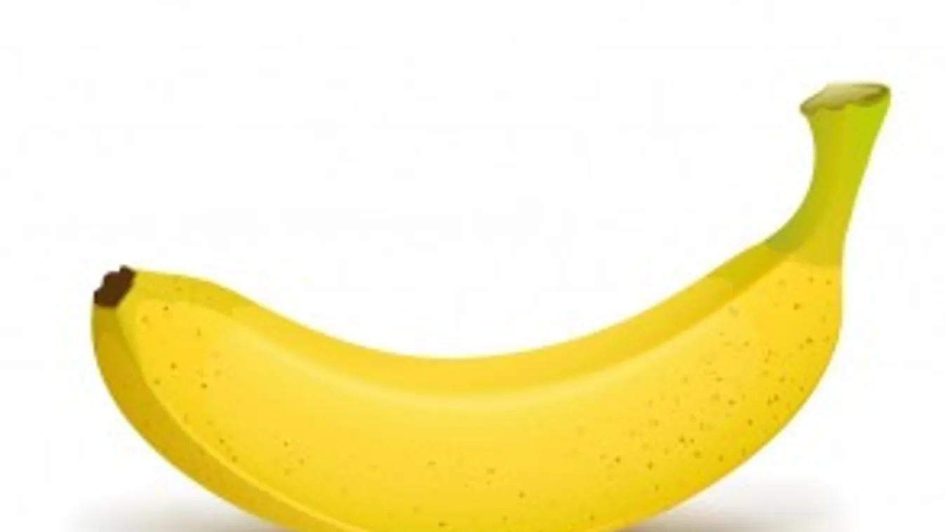 Végre! Ekkora az ideális farok a nők szerint