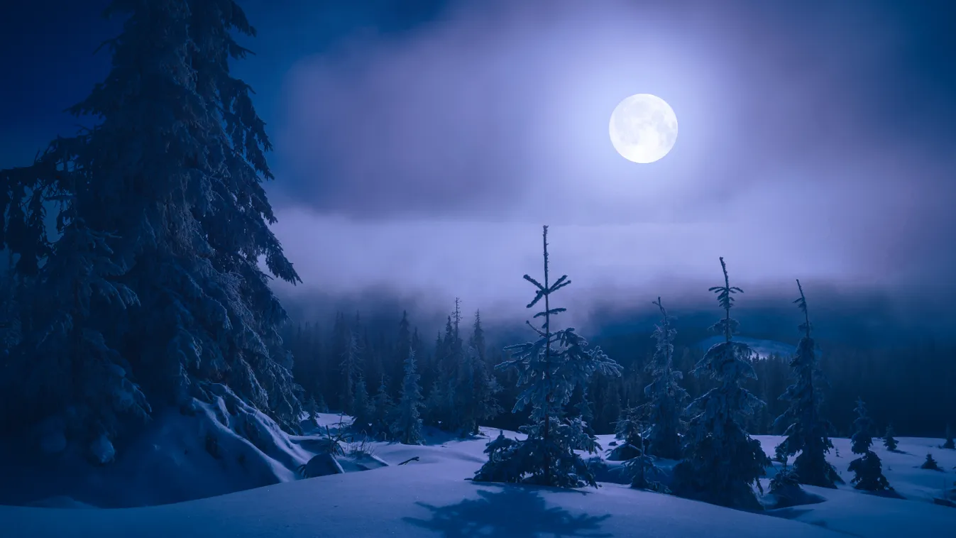 Bright,Moonlight,In,A,Mountain,Valley,Covered,With,Fresh,Snow.
