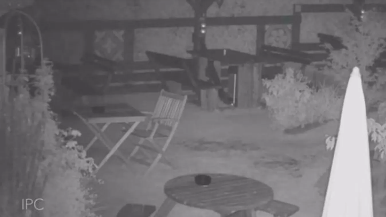 Para: Ebbe a pubba nem csak élők járnak