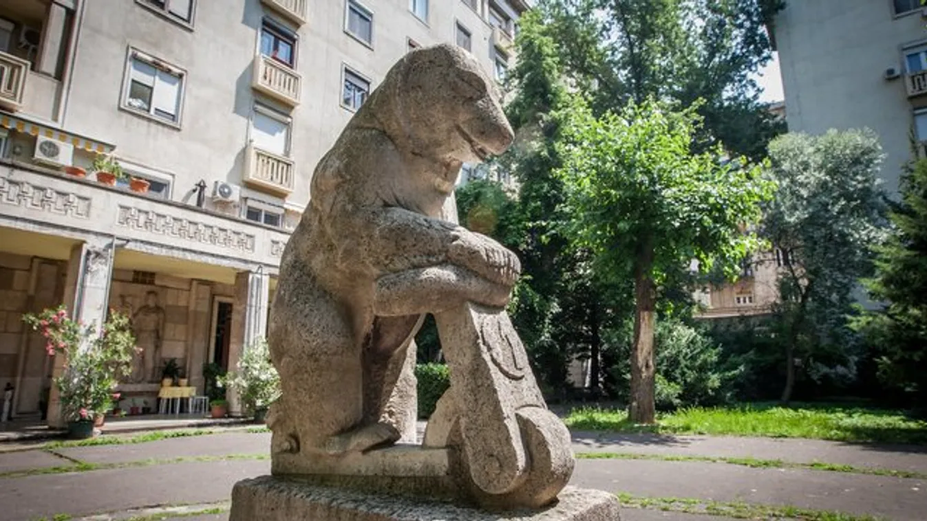 Hat évtizede rollerezik a budapesti kőmaci
