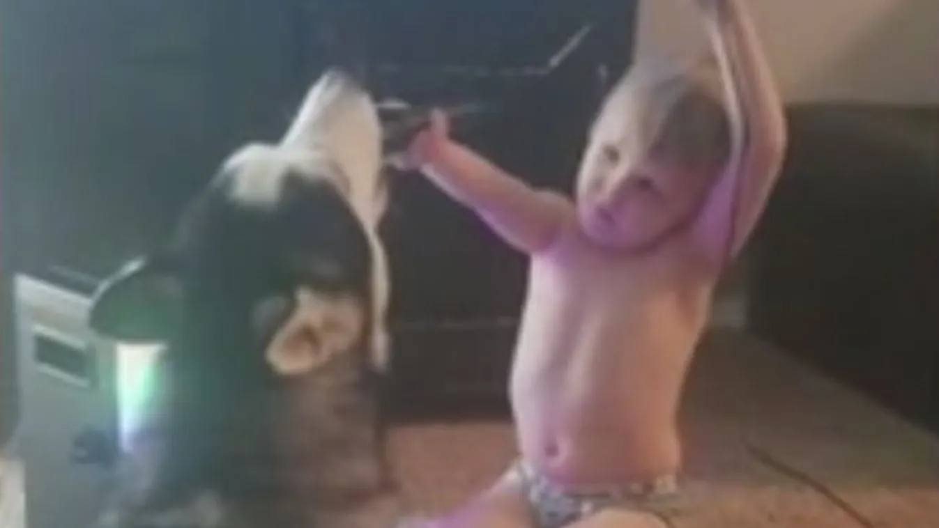 A világ legcukibb párosa: így duettezik egy kisfiú és a kutyája – videó