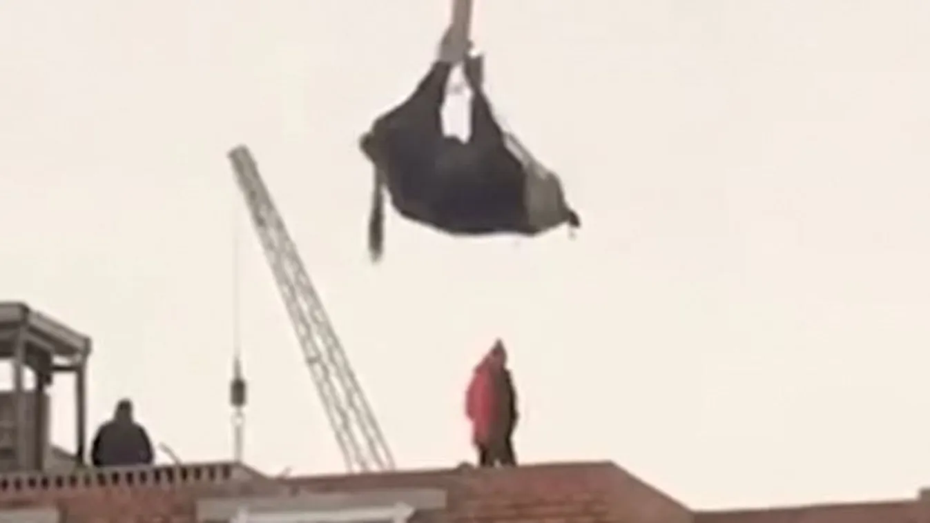 Ilyet még nem látott: tehenet áldoztak a munkások az építkezésen – videó