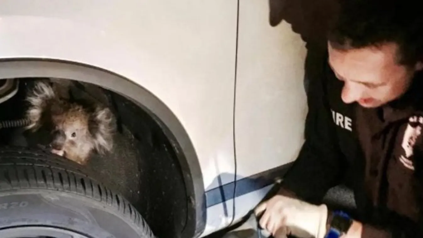 Nem számított rá, hogy a kocsijából őt szedik ki