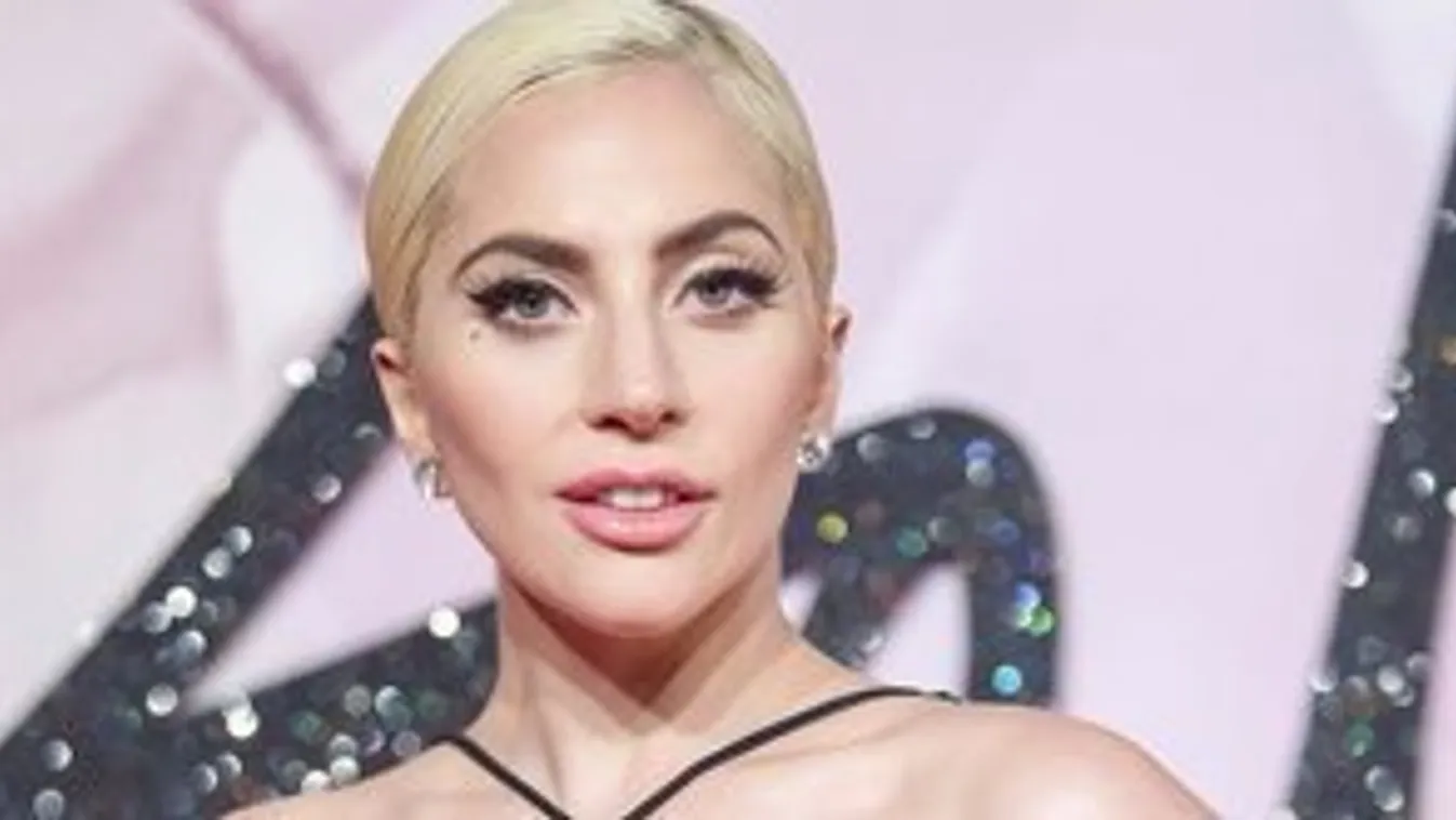 Lady Gaga bőkezűen adakozik