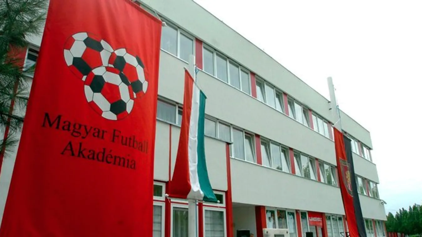 Gyerekmolesztálási ügy a Honvéd akadémiájánál