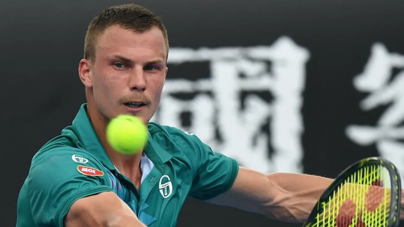 Fucsovics Márton bejutott a döntőbe