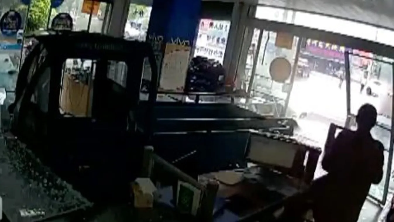 A falon keresztül érkezett az üzletbe a kutya által vezetett jármű – videó