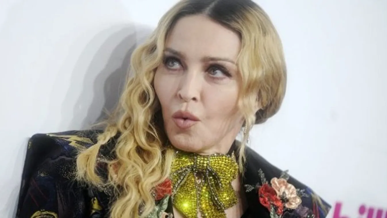Politikai pályára vágyik Madonna?