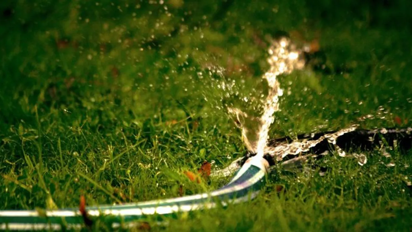 Megérkezett a leghosszabb kerti locsolócső – 60 méter hosszú! (x)