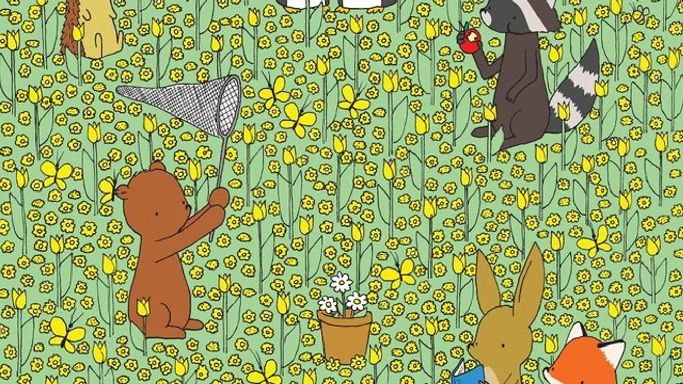 Ön megtalálja fél perc alatt a méhecskét ezen a képen?