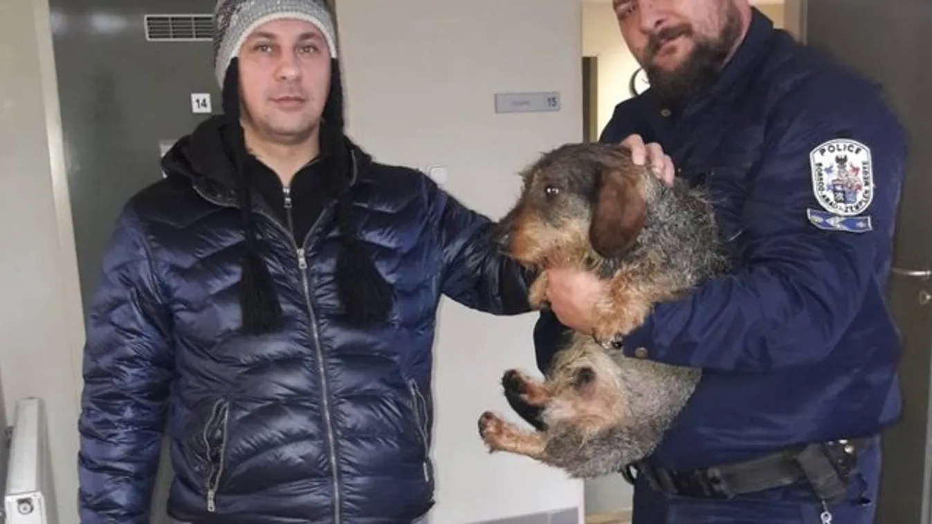 Tacskót mentettek a Tiszából a tokaji rendőrök