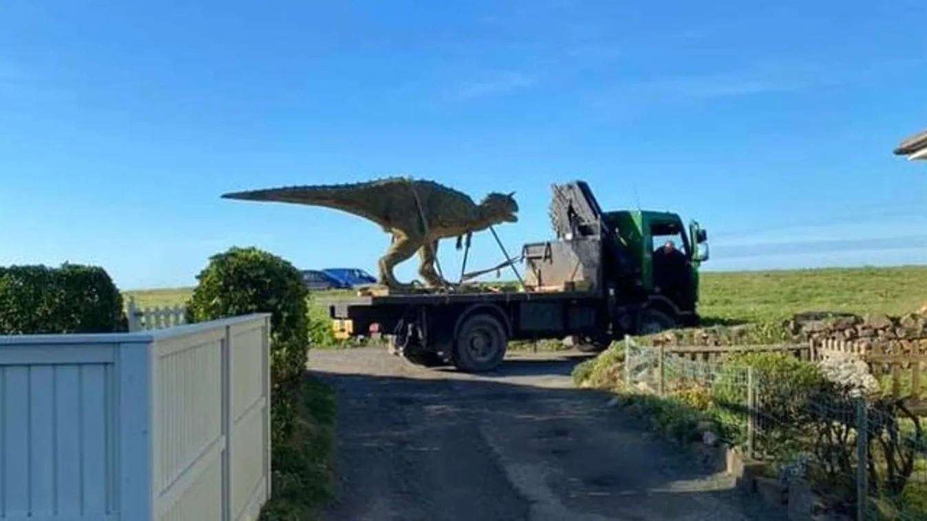 Hoppá! Véletlenül a vártnál jóval hatalmasabb dinoszauruszt sikerült rendelnie az apukának – videó