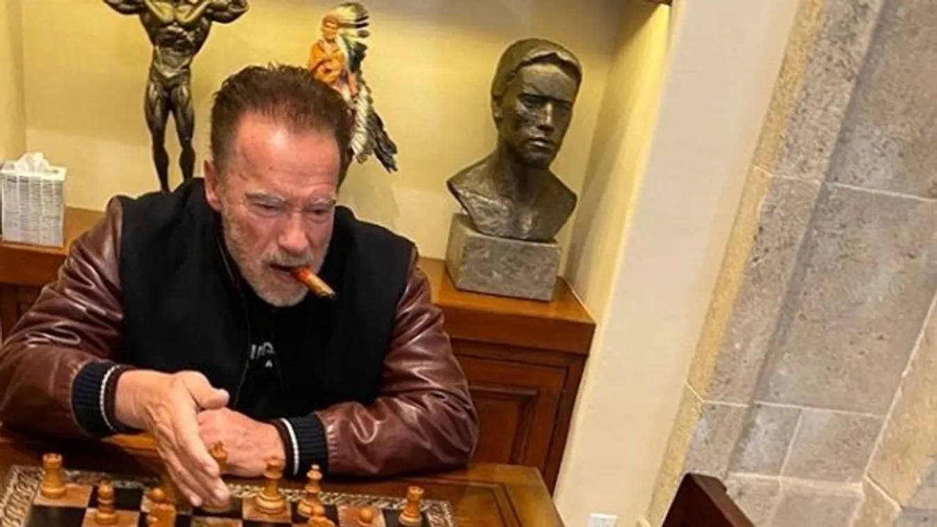 Sztárok karanténban – Schwarzenegger szamarával sakkozik unalmában