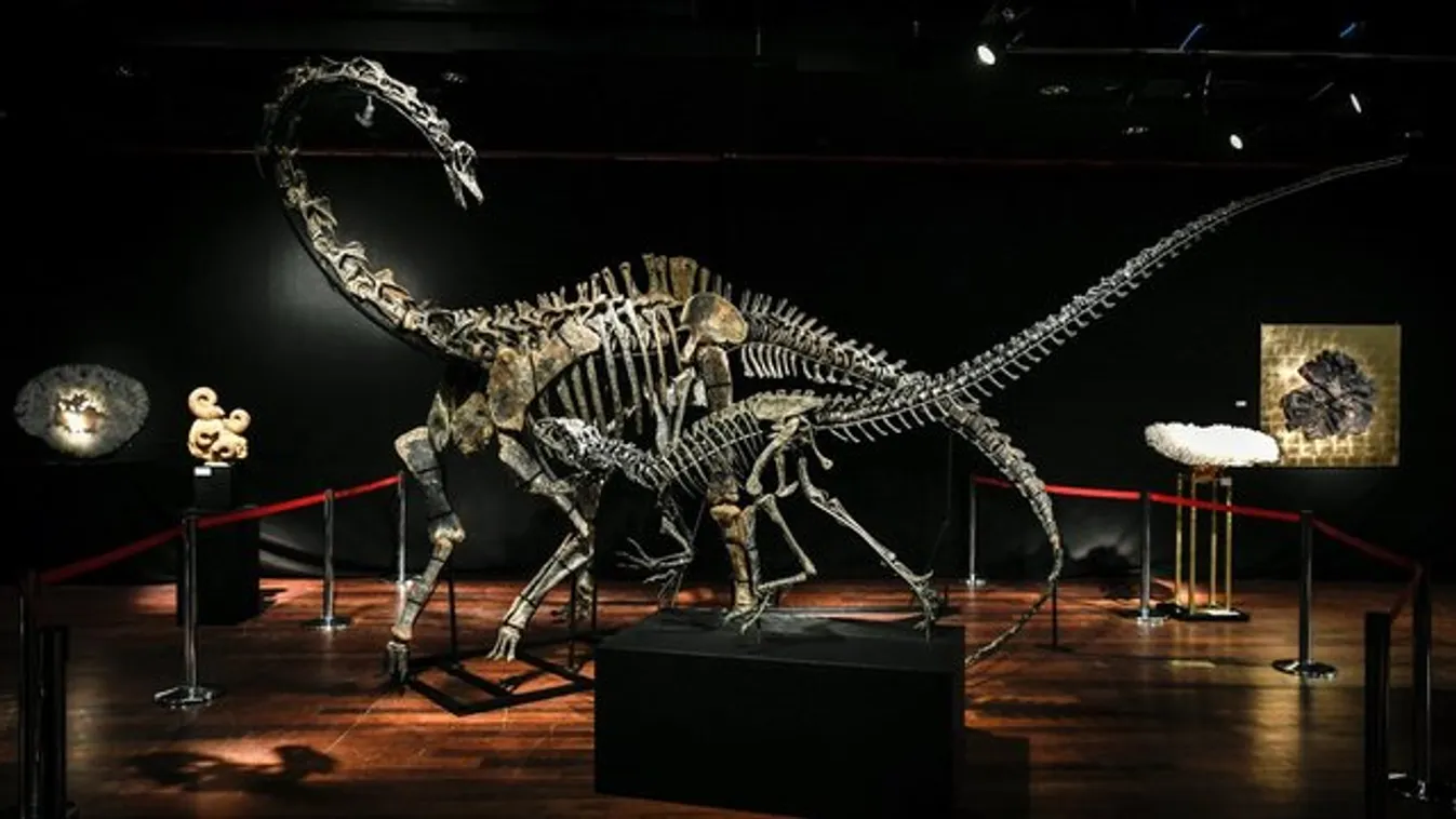 Leonardo DiCaprio dinoszaurusz csontvázzal él együtt