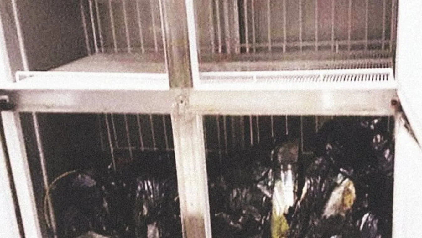 Horror: feldarabolták a magyar férfit Bangkokban