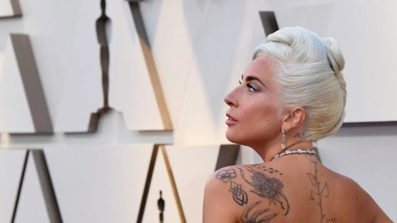 Lady Gaga műkörmeiben kizárólag pózolni lehet - azt viszont nagyon