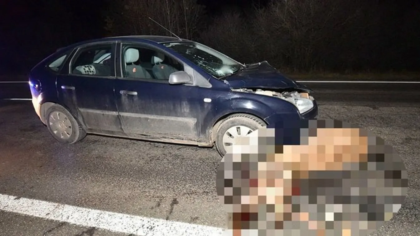 Morbid baleset: kétszer ütötte el ugyanazt a szarvasbikát
