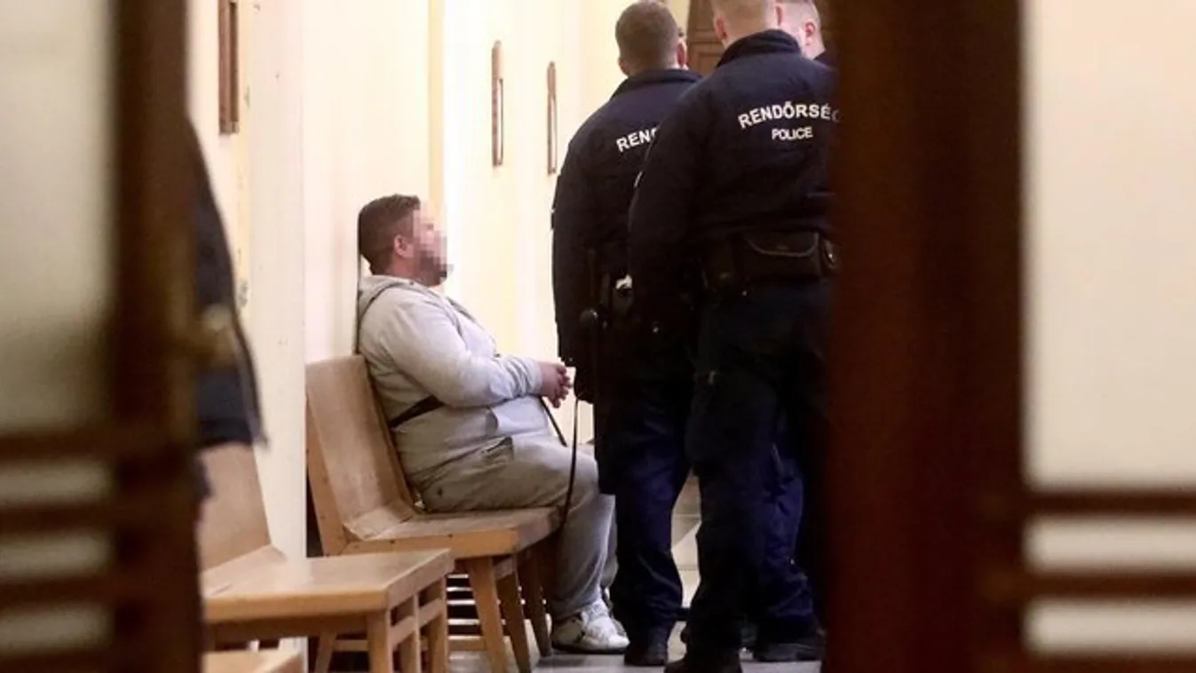 Rendőrkéselés Erdőkertesen: 35 évre csuknák börtönbe Lászlót – Döbbenetes részletek a támadásról
