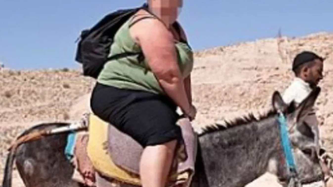 100 kiló fölött tilos szamárhátra ülni