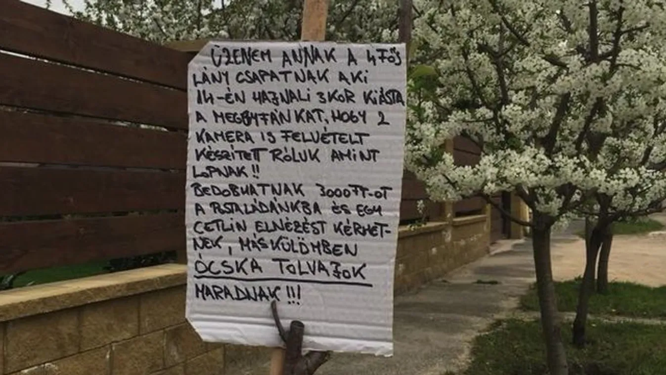 Meggyfát loptak el egy csepeli kertből a tinik, még néhány szelfit is lőttek vele