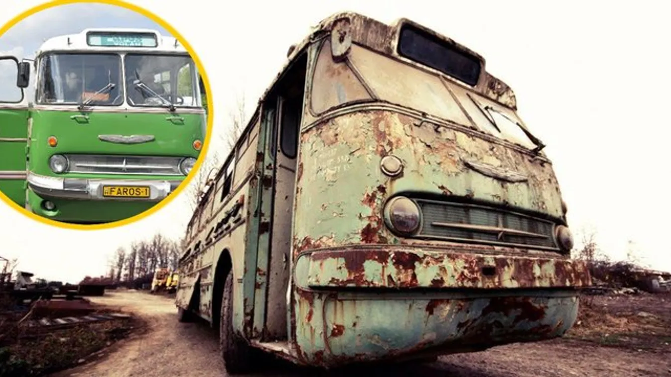 Méhek szállása volt a megmentett Ikarus