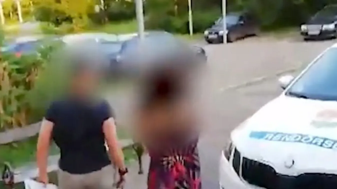 Őrizetbe vették az állatkerti teknőst agyonverő nőt - videó