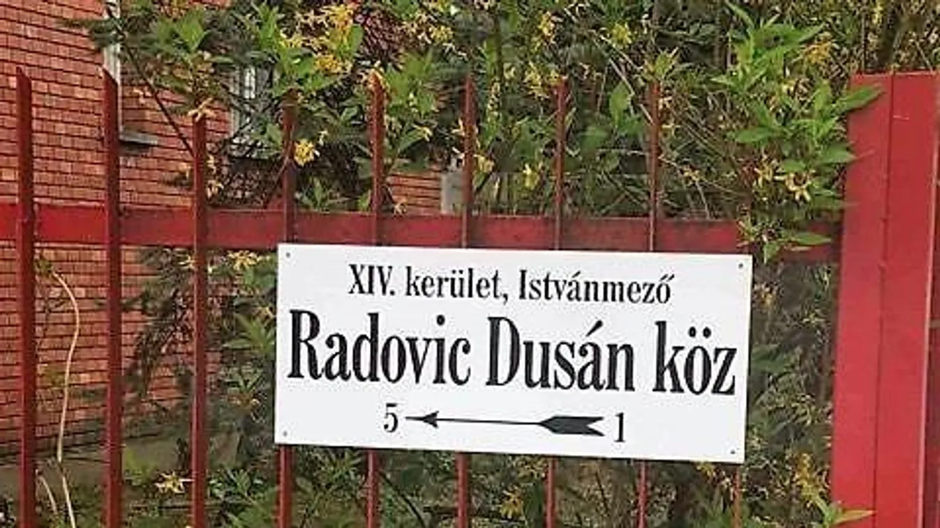 Utcát kapott a hős rendőr