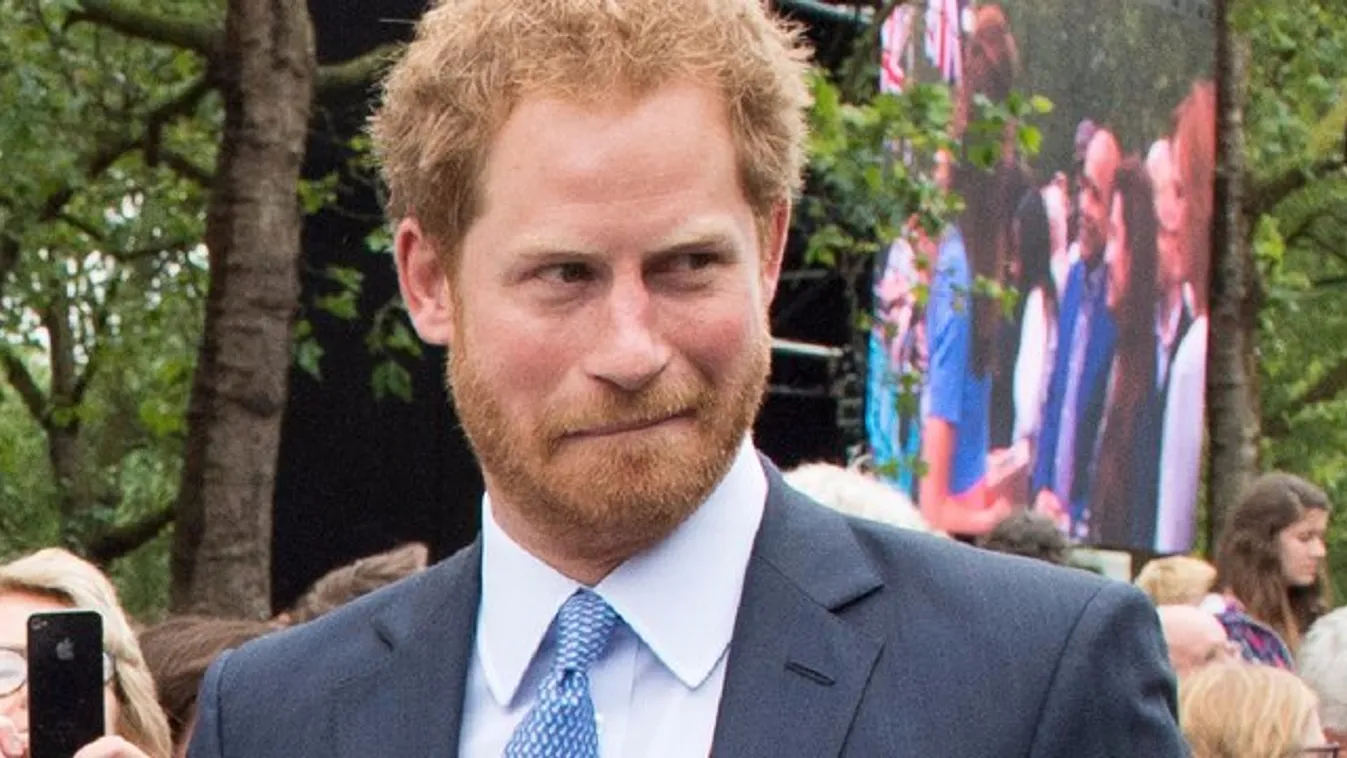 Harry herceg hasonmása a Twitter új kedvence