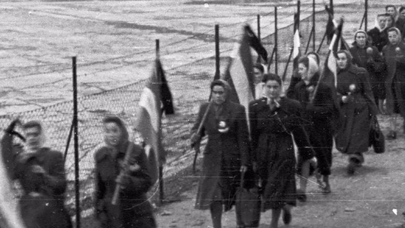 Emlékezzünk! 8+1 megrázó kép 1956-ról