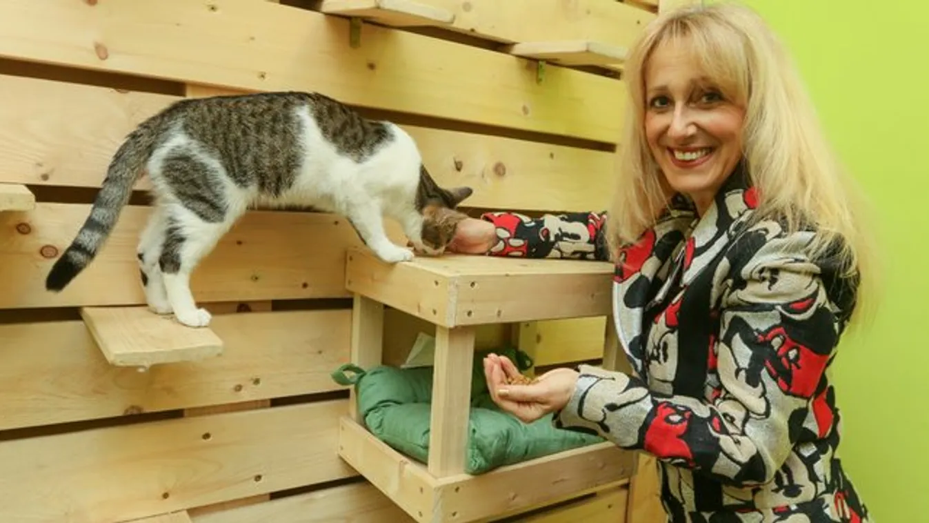 Vincze Lilla: A legnagyobb probléma a pazarlás