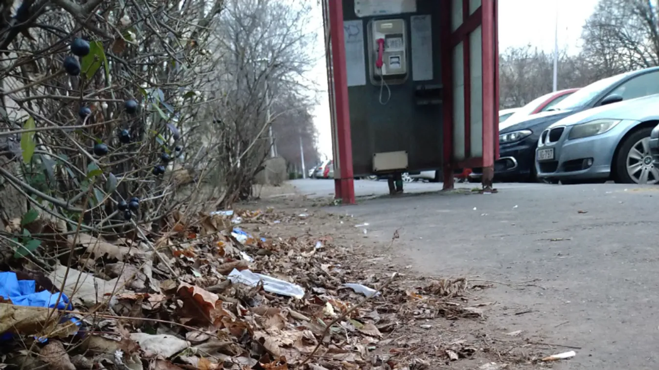 Gyilkosság a XVI. kerületben: elcsukló hangon mesélt a Borsnak az összetört feleség
