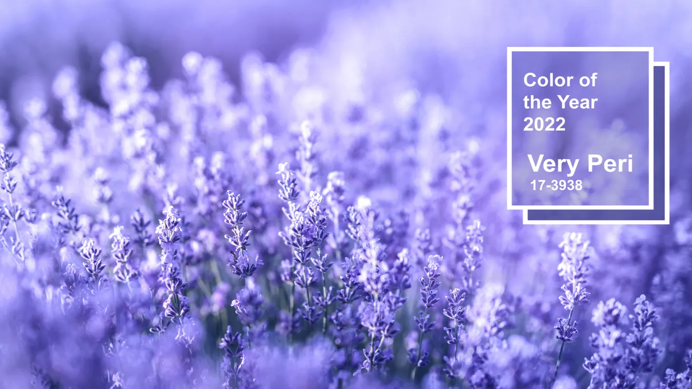 Keresse meg a 2022-es év Pantone-színét bolygónk legkülönbözőbb pontjain!
